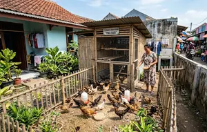 7 Ternak Hewan Mini untuk Rumah Dekat Pasar, Pakan Gratis dari Sisa Sayur