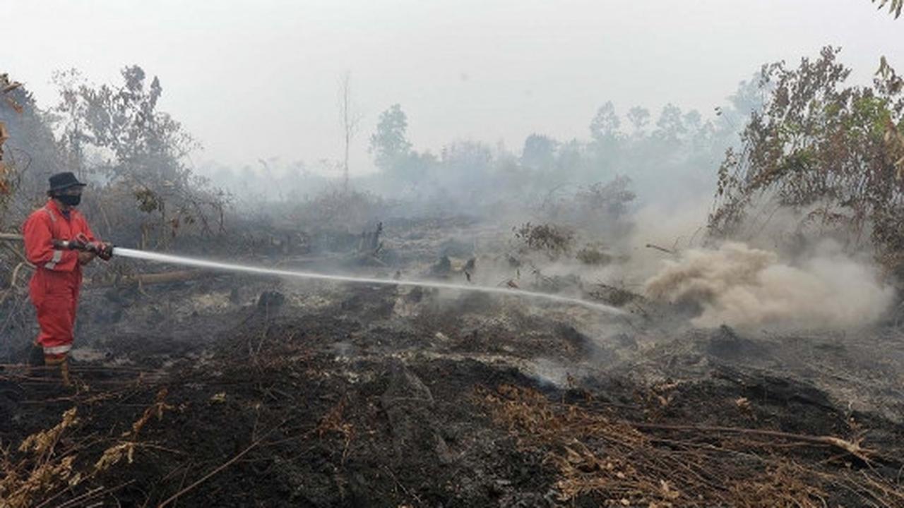 Ini lahan di Riau yang diduga sengaja dibakar