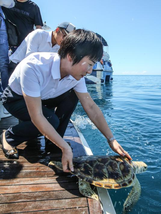 Para sukarelawan melepaskan penyu ke laut di Wilayah Lingshui, Provinsi Hainan, China selatan, pada 9 Agustus 2020. Para peneliti memasang alat pelacak pada 10 ekor penyu untuk mempelajari kebiasaan dan habitat mereka. (Xinhua/Zhang Liyun)