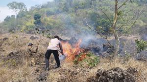 Hutan Konservasi dan Lahan Warga di Kintamani Terbakar