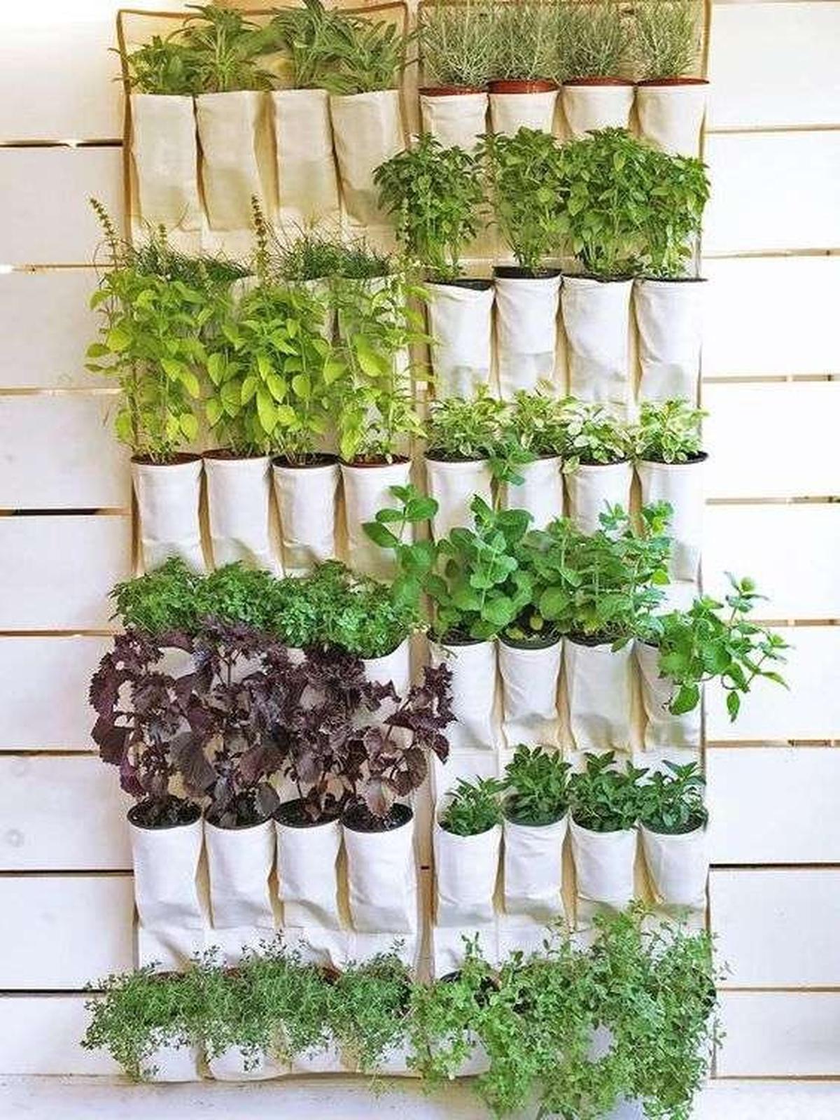 Desain Vertical Garden Minimalis