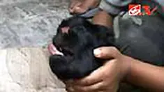 liputan6