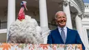 Presiden Amerika Serikat (AS) Joe Biden berdiri di samping Liberty, salah satu dari dua kalkun Thanksgiving nasional, setelah memberikan pengampunan kepada mereka dalam upacara di Halaman Selatan Gedung Putih, Washington, AS, Senin (20/11/2023). (AP Photo/Andrew Harnik)