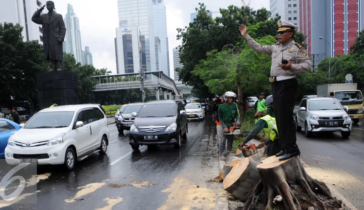 Sejumlah petugas membersihkan batang pohon yang tumbang di jalan Jenderal Sudirman, Jakarta, Senin (1/2). Pohon tumbang yang terjadi saat hujan deras mengakibatkan kemacetan panjang dikawasan tersebut. (Liputan6.com/Helmi Afandi)