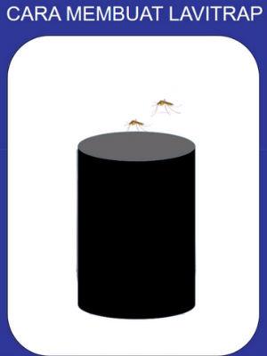 Cara membuat lavitrap/Golin.com