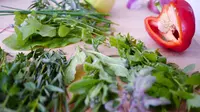 Guru Besar Bioteknologi Ungkap Potensi Besar Herbal Indonesia di Mata Dunia