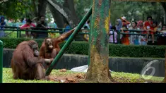  Taman Margasatwa Ragunan, Jakarta Selatan, menjadi salah satu tujuan rekreasi saat libur Lebaran (Liputan6.com/Miftahul Hayat)