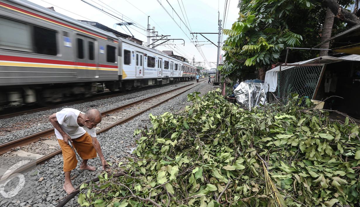 Seorang warga memotong ranting pohon di kawasan Petamburan, Jakarta, Selasa (19/7). BPS DKI Jakarta menyatakan jumlah penduduk miskin di Jakarta mengalami kenaikan 0,14 poin. (Liputan6.com/Faizal Fanani)