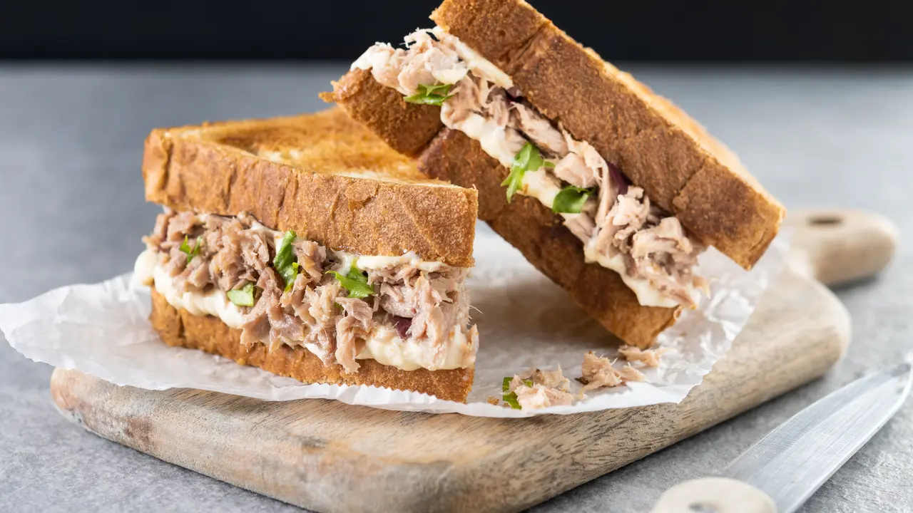 Ilustrasi sandwich