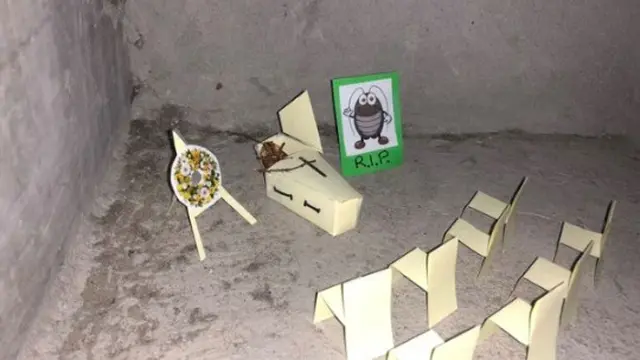 Bukannya Jijik, Pria Ini Malah Lakukan Aksi Kocak Saat Temukan Kecoak Mati