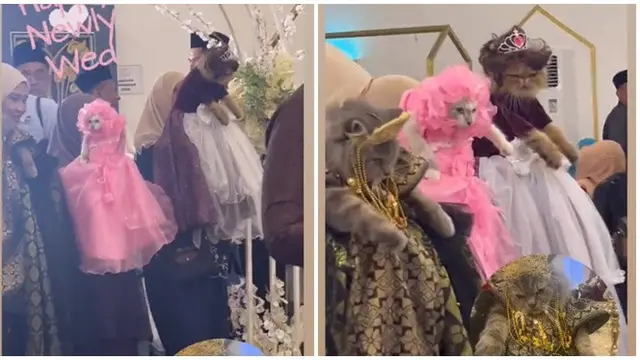 Viral Momen Kucing Jadi Bridesmaid ketika Pemiliknya Menikah, Ekspresinya Kocak
