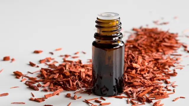 aroma cendana sandalwood