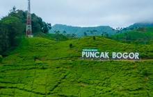 Wisata Puncak Bogor Populer, Seru dengan Pemandangan yang Indah
