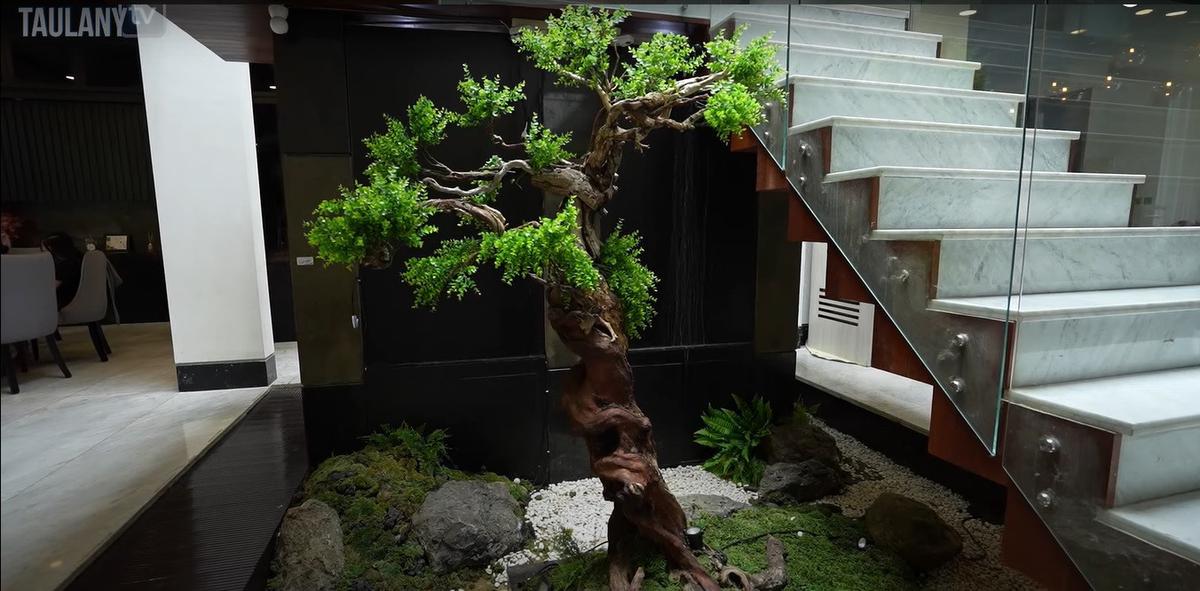 Paludarium hingga Dapur Elegan, Ini Potret Rumah Rachel Vennya yang Estetik dan Mewah