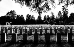 Ilustrasi meninggal, kematian, makam, kuburan. (Photo by davide ragusa on Unsplash)