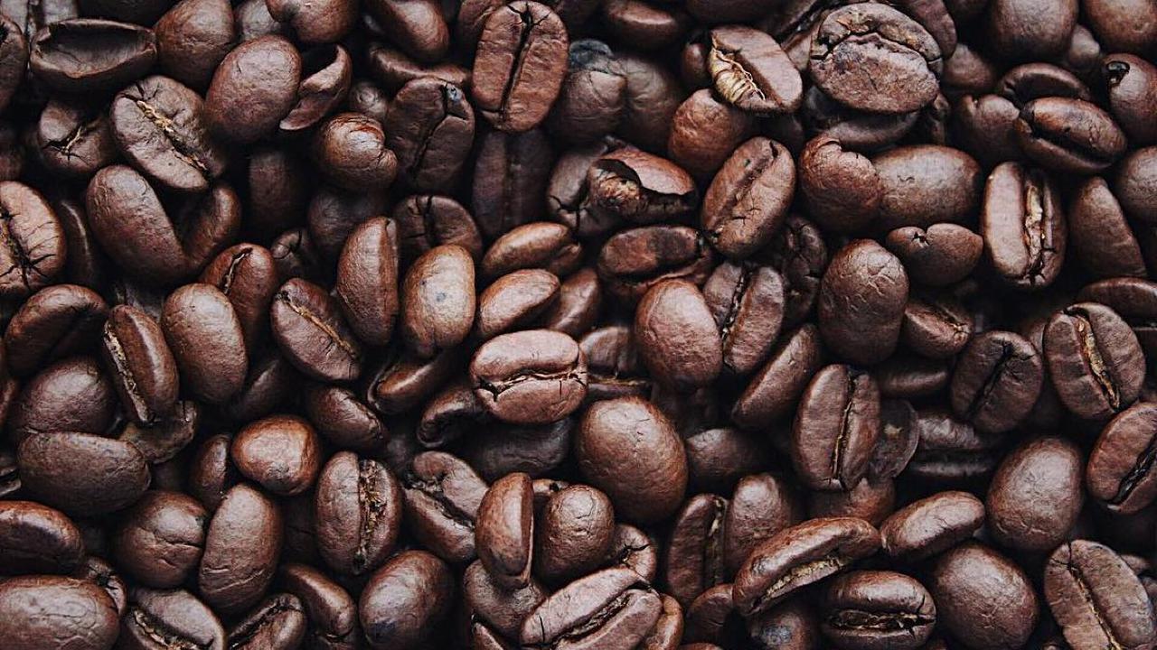 2. Spesies dan Varietas Kopi: Pengaruh Terhadap Rasa