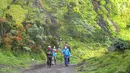 Pendaki berjalan melewati padang sabana dan edelweiss saat mendaki Gunung Merbabu di Selo, Boyolali, Jawa Tengah, Minggu (3/2). Libur Imlek dimanfaatkan warga Jawa Tengah dan Jabotabek untuk mendaki Gunung Merbabu. (Merdeka.com/Arie Basuki)