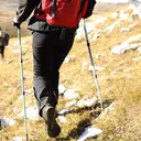 Pilihan Tongkat Hiking Terbaik agar Pendakian Lebih Nyaman dan Minim Kelelahan