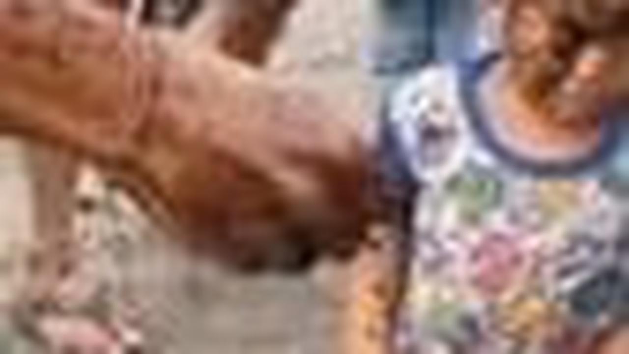 Cumi-Cumi Meledak di Tangan Nelayan, Anak Kecil Sampe Kena Tintanya