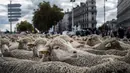 Ratusan domba saat diajak para peternak dalam aksi unjuk rasa menentang kebijakan 'Plan Loup' di Kota Lyon, Prancis, (9/10). Aksi peternak tersebut untuk menentang program perlindungan serigala. (AP Photo / Laurent Cipriani)