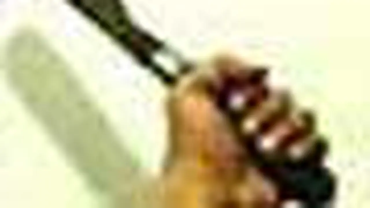 t090726bacok.jpg