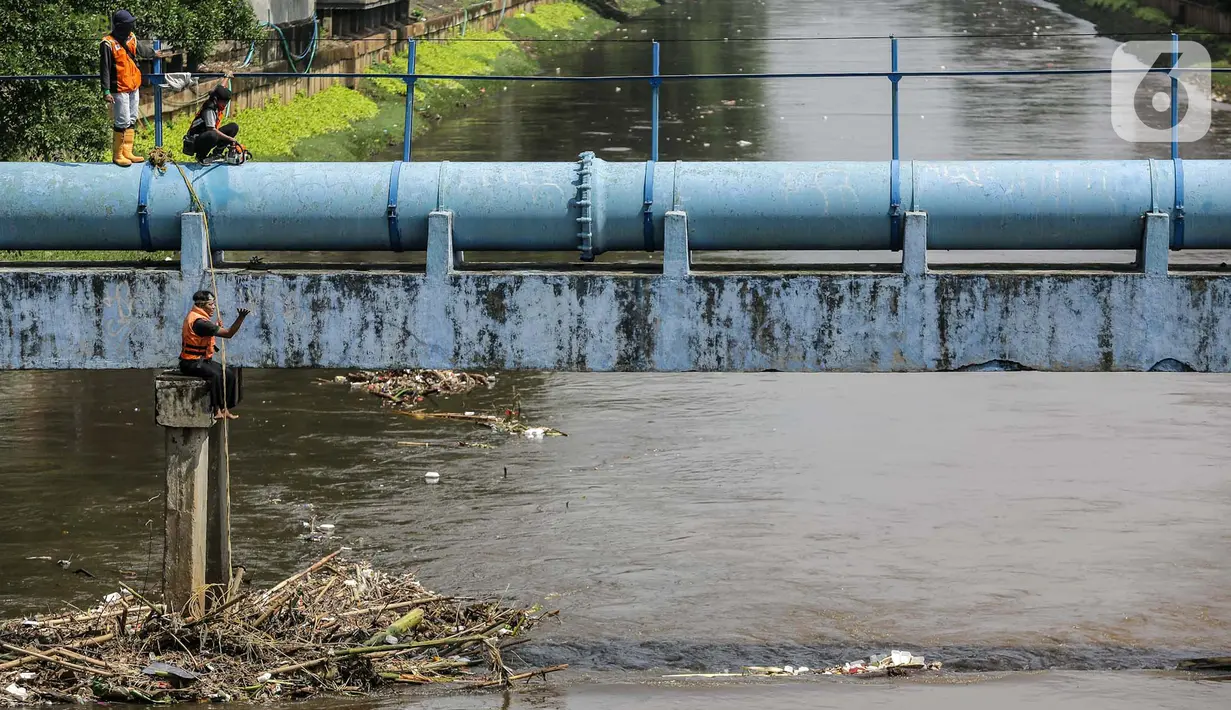 Petugas PPSU membersihkan sampah yang tersangkut di tengah derasnya aliran Kali Ciliwung, Jakarta, Rabu (19/5/2021). Pembersihan tersebut dimaksudkan agar tidak ada penumpukan sampah dan sedimentasi saluran di sepanjang Kali Ciliwung. (Liputan6.com/Faizal Fanani)