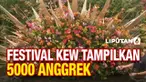 Festival Anggrek Kew di London, Inggris bakal mulai digelar dari 5 Februari hingga 6 Maret 2022. Tahun ini tema yang diangkat adalah kekayaan alam Kosta Rika, diperkirakan bakal ada 5000 anggrek yang bakal dipamerkan.