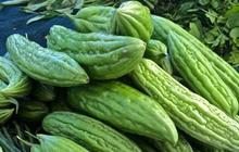 Selain Garam, ini Dua Bahan Bisa Mengurangi Pahitnya Pare saat Dimasak