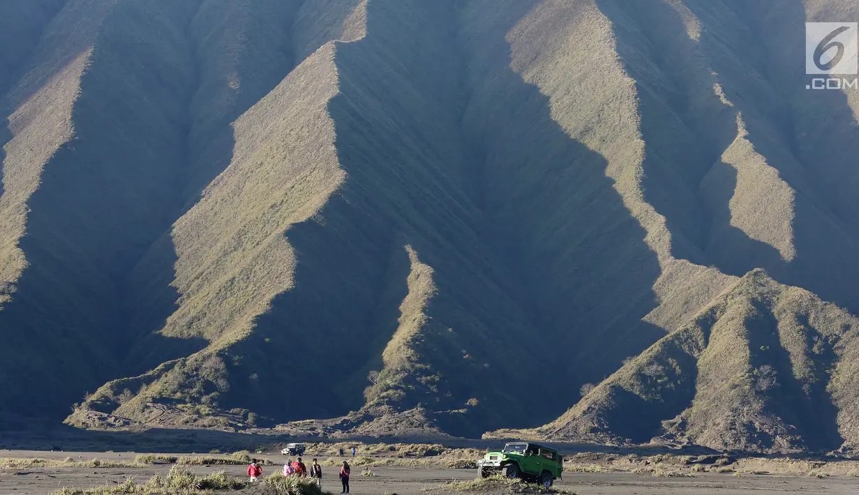 <p>Wisatawan berada di kawasan Gunung Bromo, Malang, Jawa Timur, (29/7). Ratusan wisatawan berbagai daerah setiap harinya memadati kawasan Bromo untuk berwisata melihat terbitnya matahari dan juga kawah Gunung Bromo. (Liputan6.com/Johan Tallo)</p>