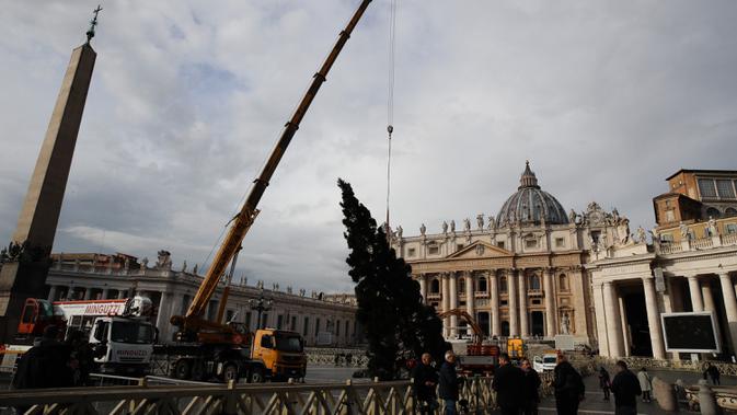Sebuah crane mengangkat pohon cemara di Lapangan Santo Petrus, Vatikan, Kamis (21/11/2019). Pohon Natal setinggi 26 meter tersebut berasal dari Dataran Tinggi Asiago di timur laut Italia dan disumbangkan oleh wilayah Veneto. (AP Photo/Alessandra Tarantino)