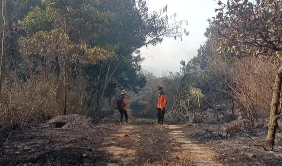 Kecepatan dan hembusan angin menyulitkan para personel untuk memadamkan api. Hembusan angin di daerah itu berubah-ubah, kata Abdul, Di samping itu, tantangan yang dihadapi di lapangan yaitu medan berbatu dan terjal.