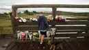 Seorang anak melihat bunga duka cita di dekat lokasi jatuhnya jet Hawker Hunter di Jalan Raya A27, Shoreham, Inggris, Minggu (23/8/2015). Pesawat yang tengah mengikuti Shoreham Airshow tersebut menewaskan sedikitnya  tujuh orang. (REUTERS/Luke MacGregor)