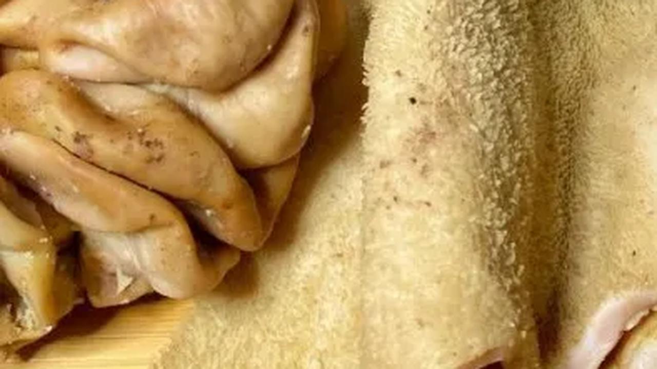 5. Usus dan Babat Sapi: Nutrisi dan Kewaspadaan