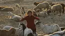 Seorang gadis nomaden Gujjar menggembalakan kambing ketika kelompok mereka berhenti sementara di jalan raya Jammu-Srinagar di Nagrota, di pinggiran Jammu, India, Selasa (9/11/2021). Anggota suku tersebut pindah dari perbukitan untuk menghindari musim dingin. (AP Photo/Channi Anand)