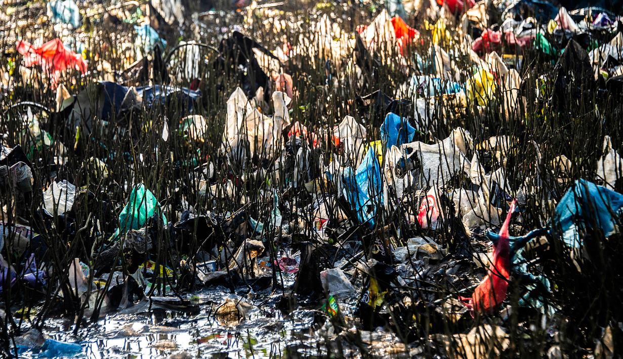 Sampah-sampah plastik yang menempel pada pohon saat World Cleanup Day di sekitar kawasan pantai di Surabaya, Jawa Timur, Sabtu (21/9/2019). World Cleanup Day adalah sebuah gerakan bersih-bersih sampah terbesar di dunia yang dilaksanakan secara serentak di 157 negara.  (JUNI KRISWANTO / AFP)