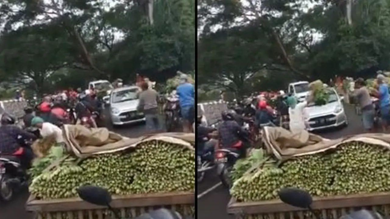 Hasil Penen Tak Laku Akibat Pandemi, Aksi Petani Bagi-bagi Sayuran Ini Viral
