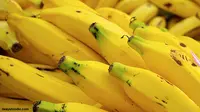 Pisang Mas Kirana Lumajang Menggoda Orang Eropa