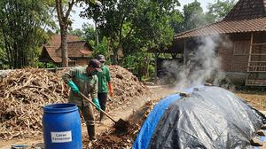 Cara Fermentasi Daun Bambu Kering agar Cepat Terurai, Bisa Dimanfaatkan untuk Kompos