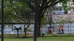 Sejumlah pekerja memperbaiki drainase Kompleks Istana Kepresidenan, Jakarta, Senin (18/12). Presiden Jokowi memindahkan aktivitas kerja ke Istana Bogor hingga proses revitalisasi drainase lingkungan Istana di Jakarta selesai. (Liputan6.com/Angga Yuniar)