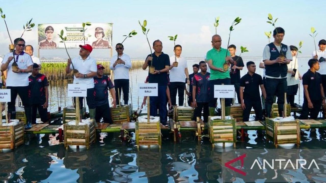 Bupati Badung Pimpin Aksi Penanaman Mangrove, Perkuat Komitmen Pelestarian Lingkungan