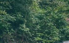 Air Terjun Doyam Gerigu, Wisata Alam di Desa Sumentai yang Memesona