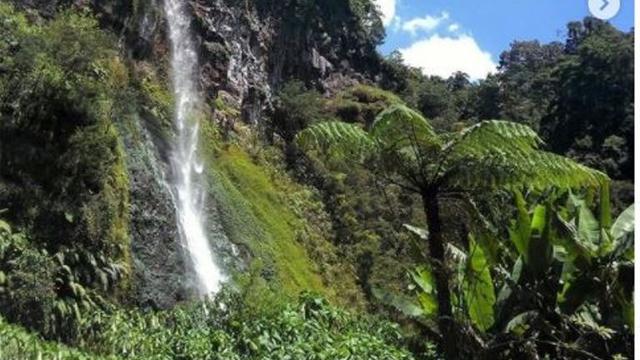 Jalur Pendakian Gunung Gede Pangrango Ditutup sampai 20 Agustus 2021