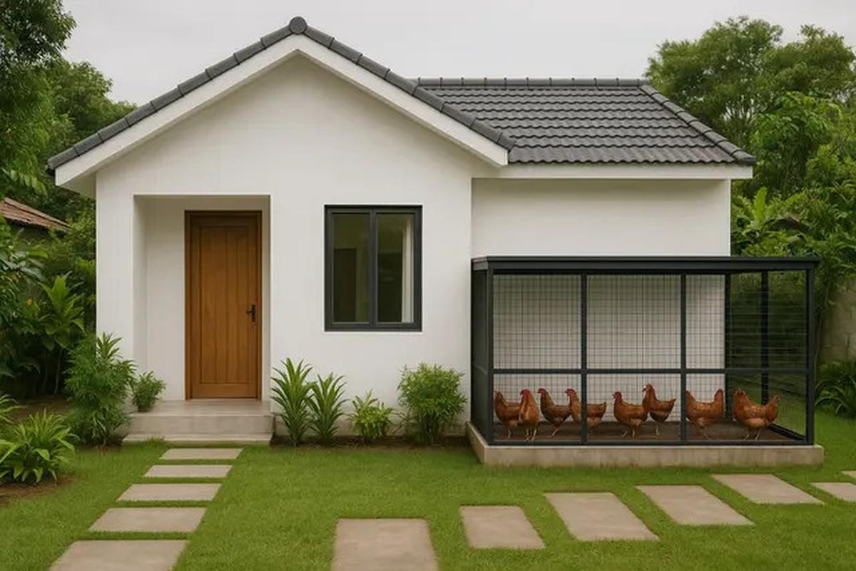 6 Model Kandang Ayam di Depan Rumah untuk Lahan Sempit, Fungsional dan Rapi