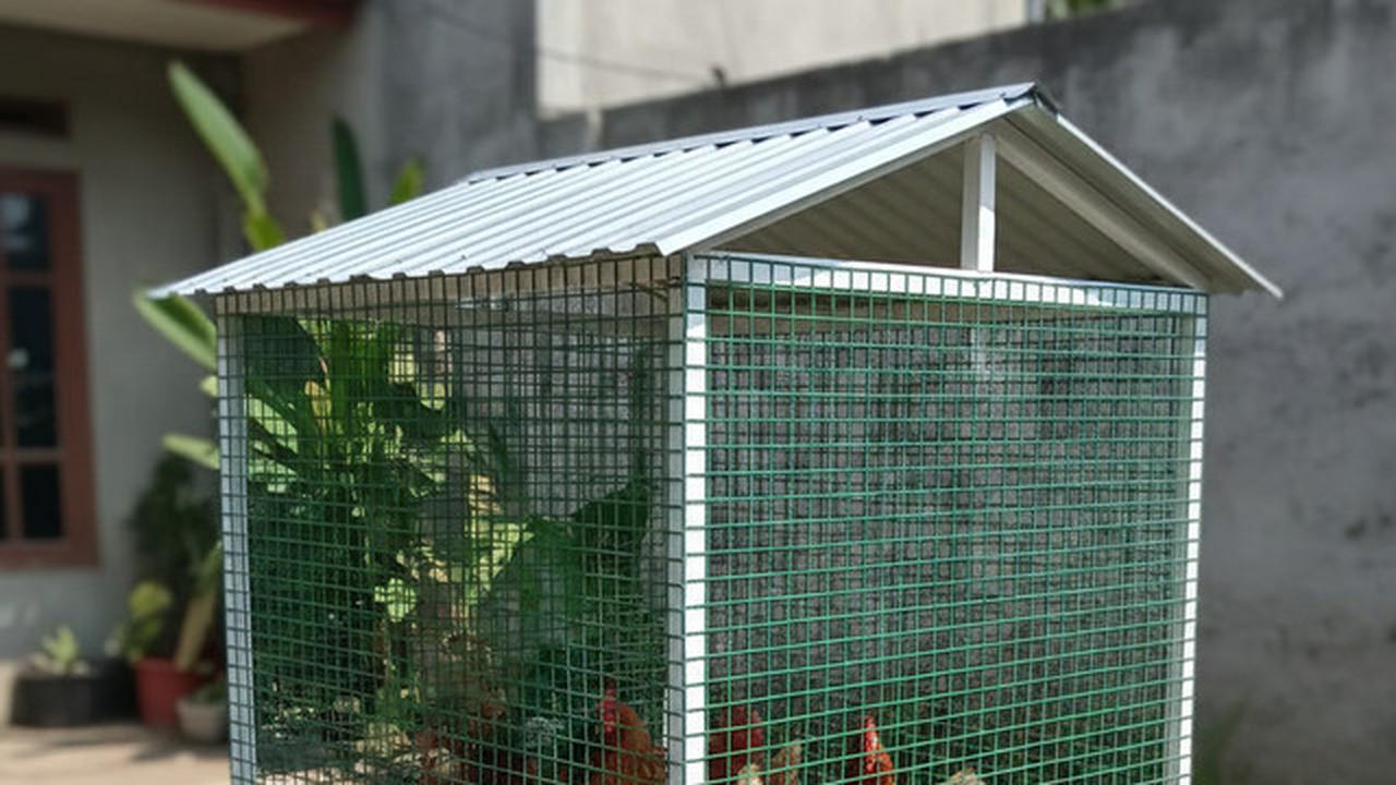 9 Desain Kandang Ayam Baja Ringan: Solusi Modern untuk Peternakan Rumahan