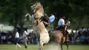Para gaucho atau koboi menunggangi kuda liar saat kompetisi rodeo di San Antonio de Areco , Argentina, Minggu (8/11). Dalam acara ini, para gaucho atau koboi saling bersaing menunjukkan keahlian mereka menunggangi kuda liar. (AFP PHOTO / Eitan Abramovich)