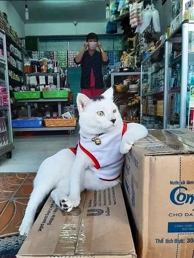 6 Potret Hewan Ada di Warung Ini Bikin Penjual Kaget, Kocak