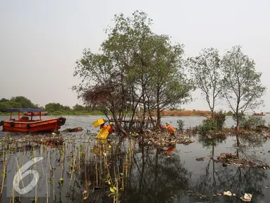 Petugas Dinas Kebersihan membersihkan sampah di pesisir Muara Angke, Jakarta, Kamis (29/10). Petugas menggunakan perahu untuk membersihkan sampah dari kawasan Muara Baru hingga Pantai Indah Kapuk. (Liputan6.com/Faizal Fanani)