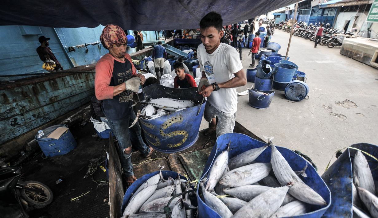 Aktivitas nelayan di Pelabuhan Muara Baru, Jakarta, Kamis (5/8/2021). Berdasarkan survei KNTI yang dilakukan 5.292 responden nelayan di 25 wilayah di Indonesia, sebagian besar nelayan tradisional mengaku 78,43 persen hasil tangkapan berhasil terserap oleh pasar. (merdeka.com/Iqbal S. Nugroho)