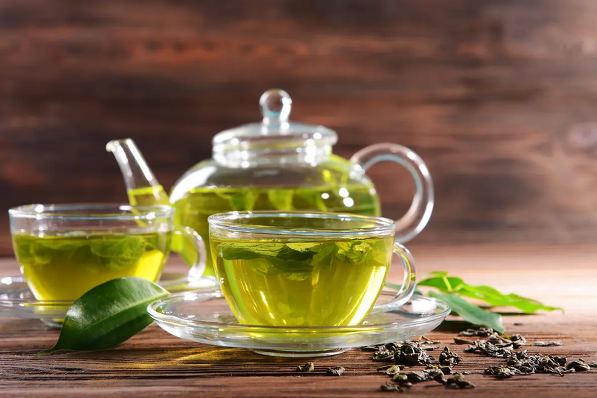 daun binahong teh hijau