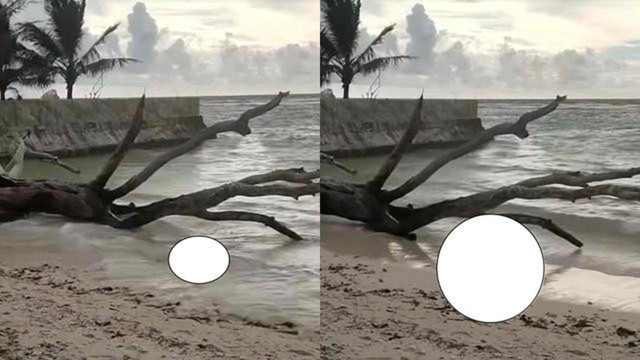 Misteri di Pantai Walur: Jenazah Tanpa Kepala dan Tangan Menggegerkan Warga